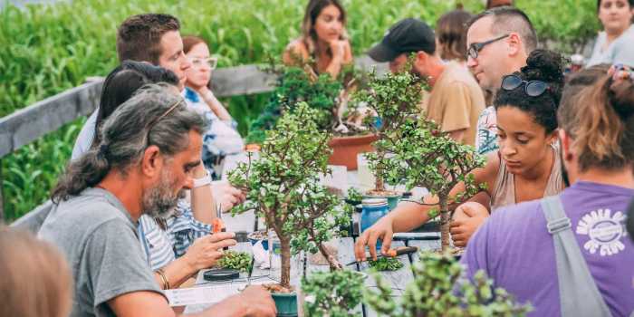 Beginner workshops are perfect for you t