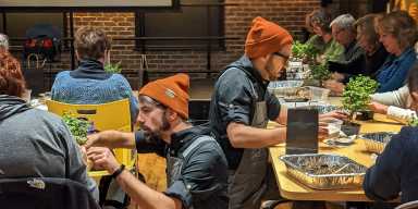 Bonsai Workshop at The Greats of Craft – (LIC)