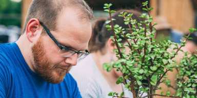 Bonsai Workshop at The Greats of Craft (Midtown East)