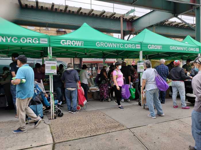 Weekly, outdoor farmstand managed by Gro