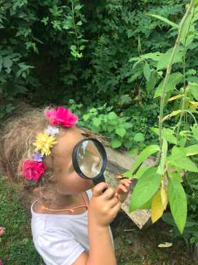 Child+examines+Monarch+caterpillar+at+Downs+Farm+Preserve+scavenger+hunt.jpg copy