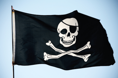 Jolly Roger Flag -Pic Only