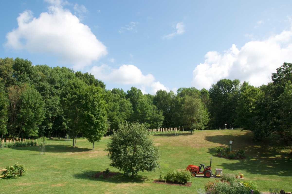 Orchard