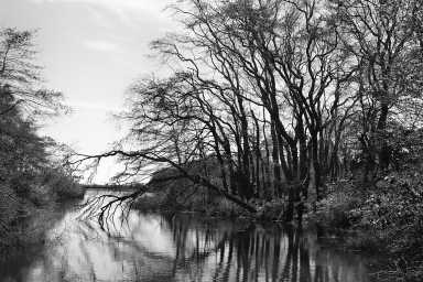 Paul Dempsey – Sagg Swamp Preserve