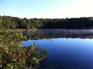 Round Pond in mist