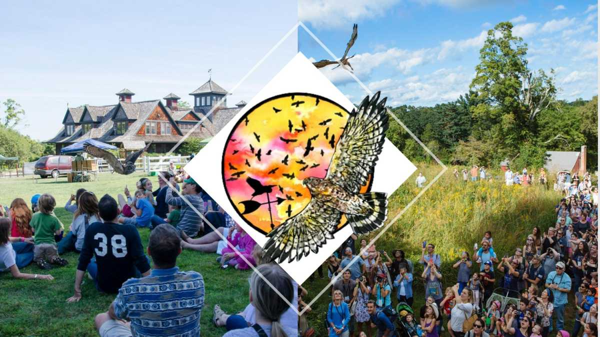 hawkwatchfestcollage