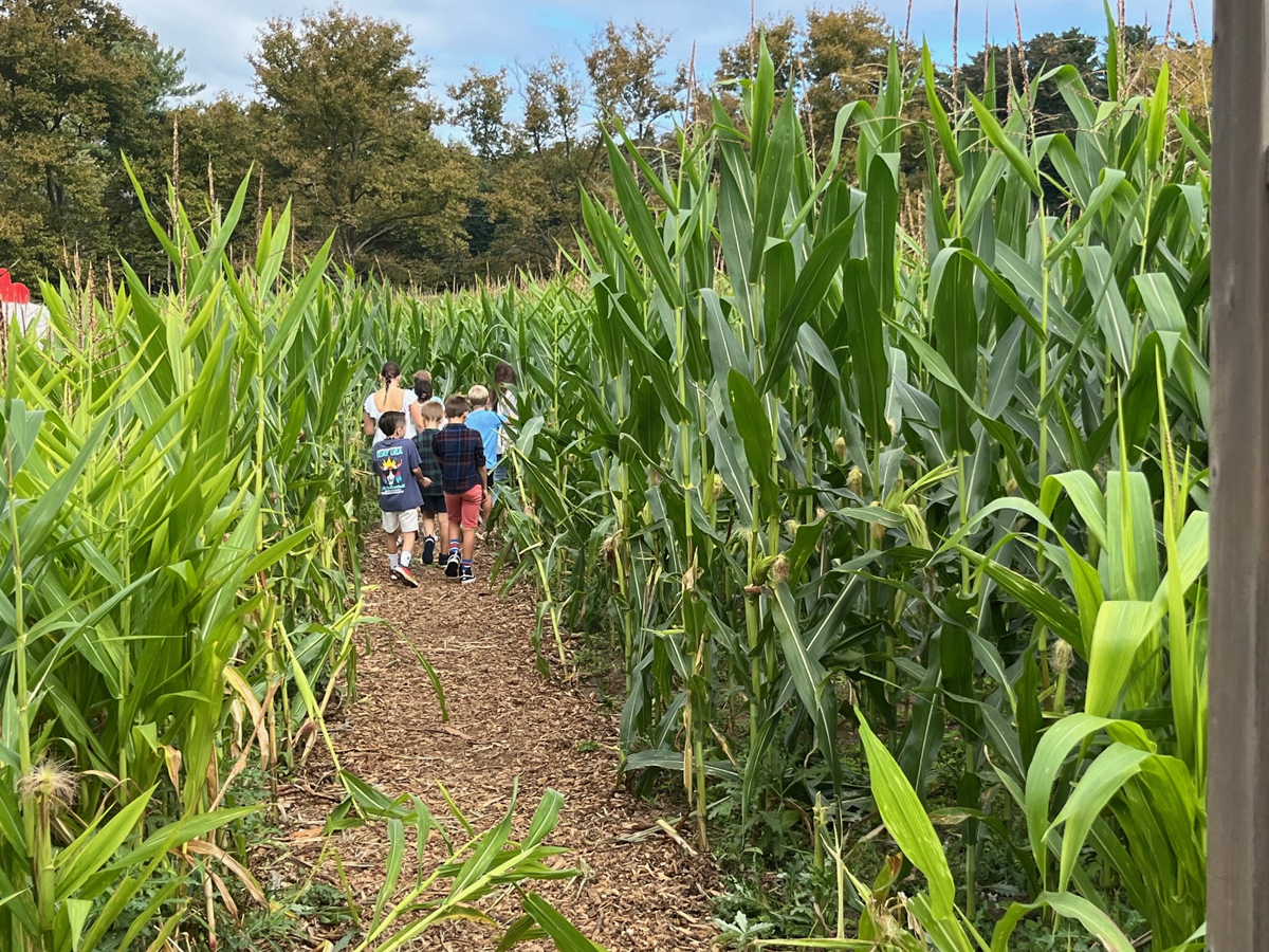 lif-calendar-Heritage-Farm-&-Garden-2025-Fall-Festival-2025-09