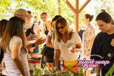 sept plant swap