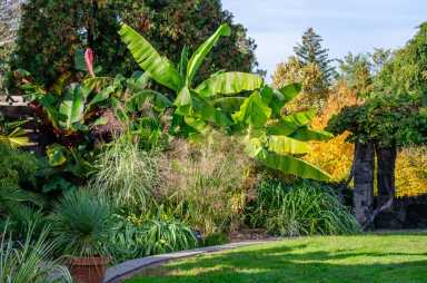 wave-hill_October-Garden-Highlights-Walk_credit-Wave-Hill