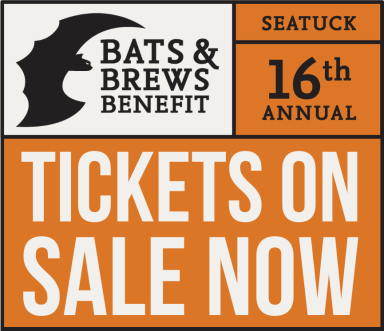 25_BB_TicketsOnSale