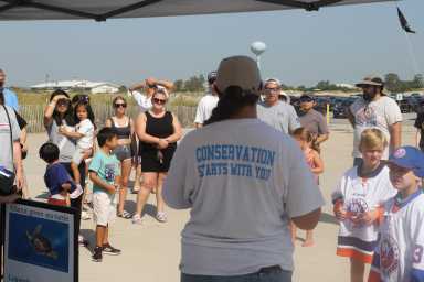 AMSEAS_BeachCleanUp_IMG_8372_c15f96