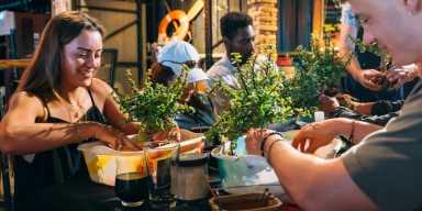Bonsai Workshop at Sixpoint – Brookfield Place
