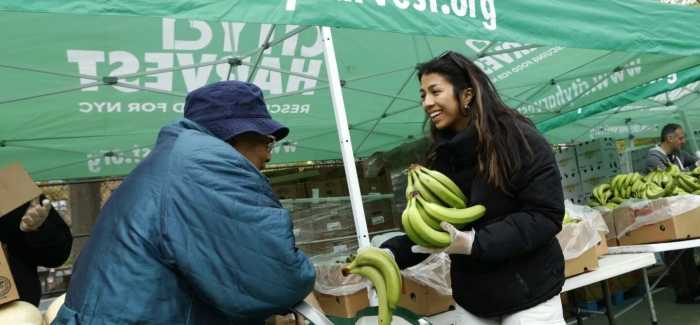 City Harvest provides millions of pounds