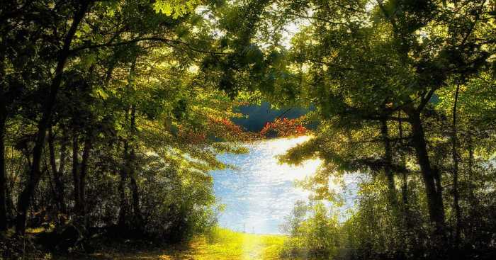Hike…Explore…Discover the Long Pond Gree