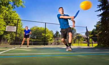 Pickleball Pandemonium