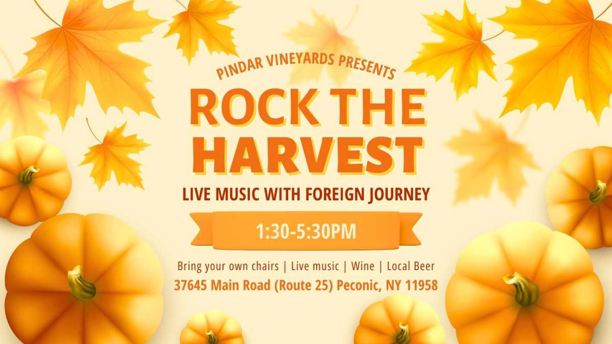 Rock the