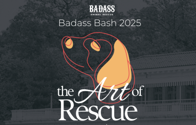 The Art of Rescue Invite – Final