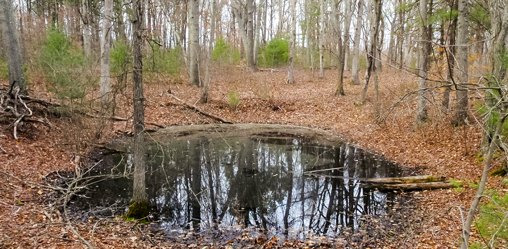 VernalPools