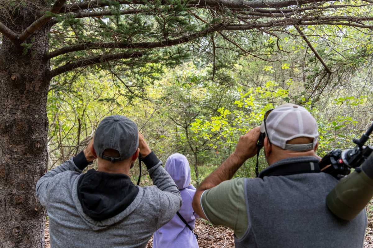 birding-for-beginners-scaled