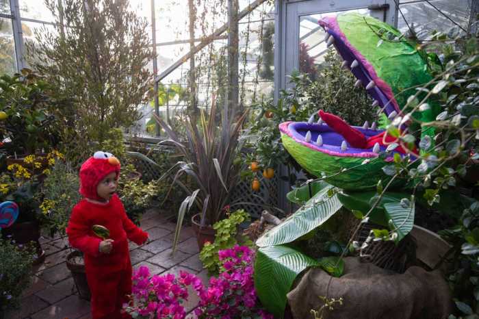 Calling all ghosts and goblins, pirates