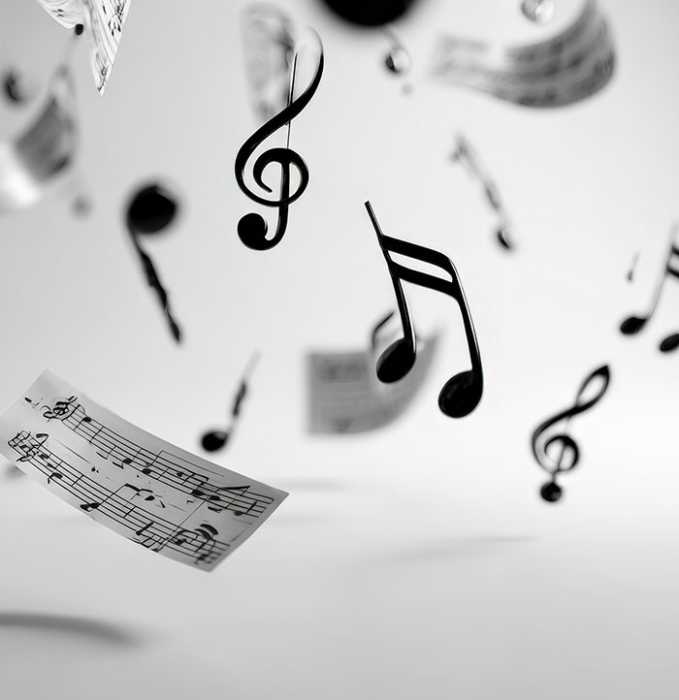 Directed by Brianna Blake and Brent Mord