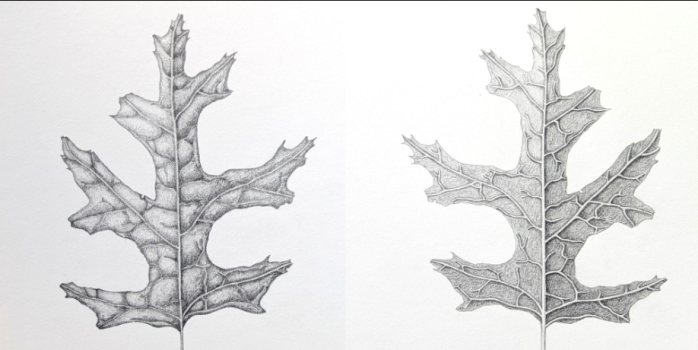 Join Brooklyn Bridge Park educators for