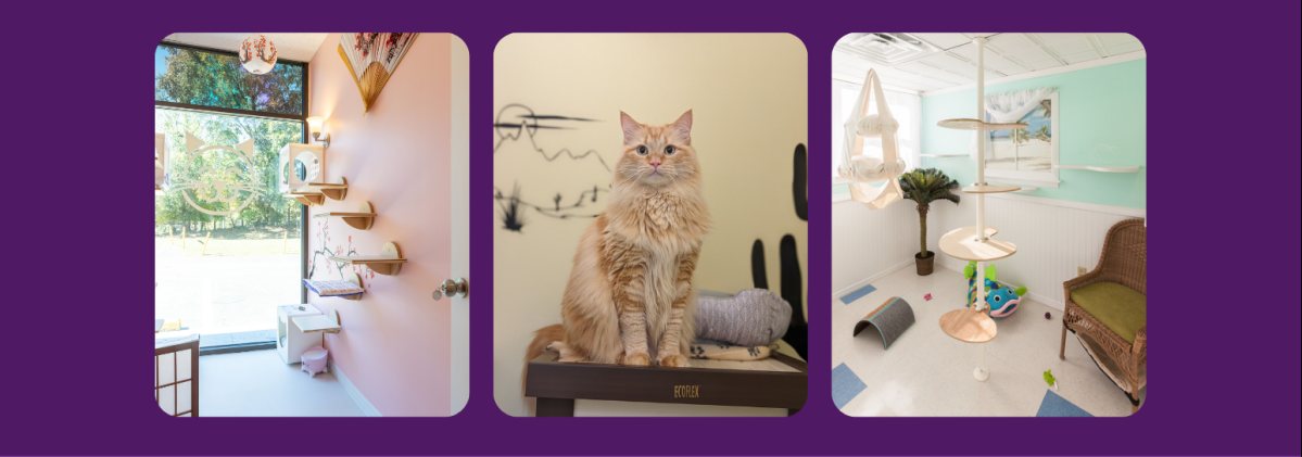 Beige Grey Minimalist Spa Grand Opening Promotion Flyer copy