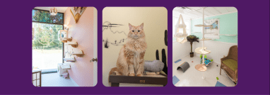 Beige Grey Minimalist Spa Grand Opening Promotion Flyer copy