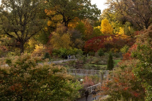 Fall Harvest Festival 2025
