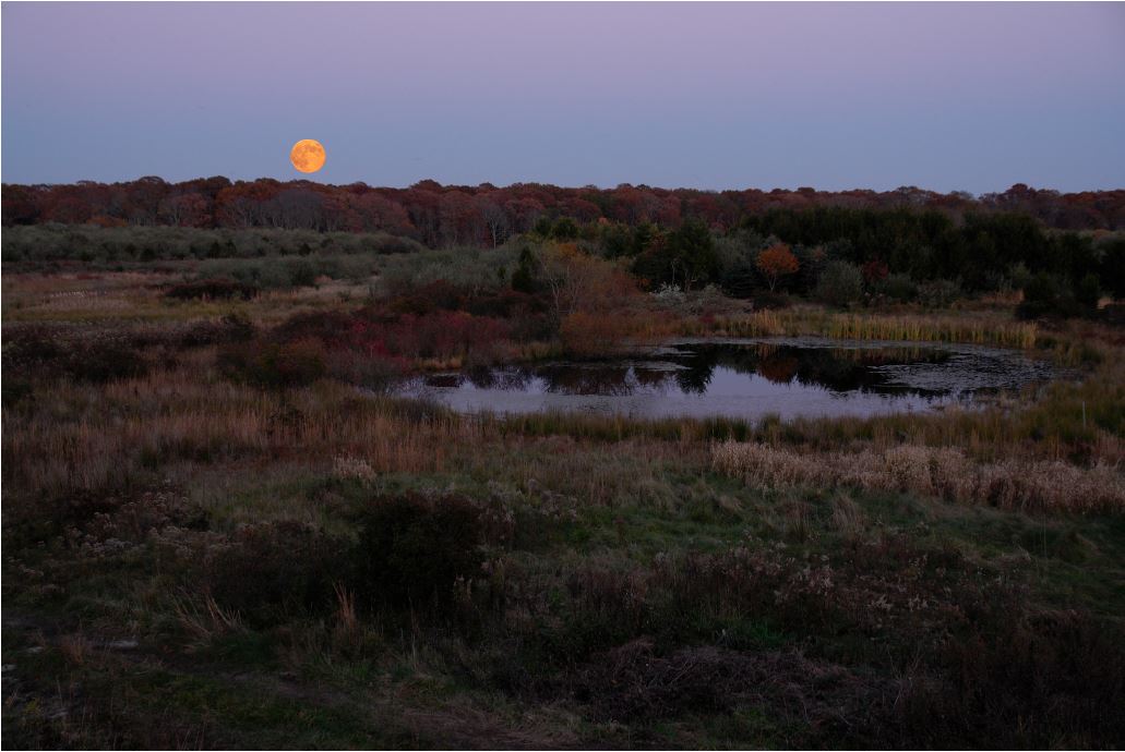 Moonrise Over Vineyard Field 11-5-06