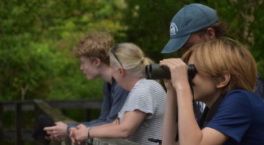 Screenshot 2025-10-20 102634