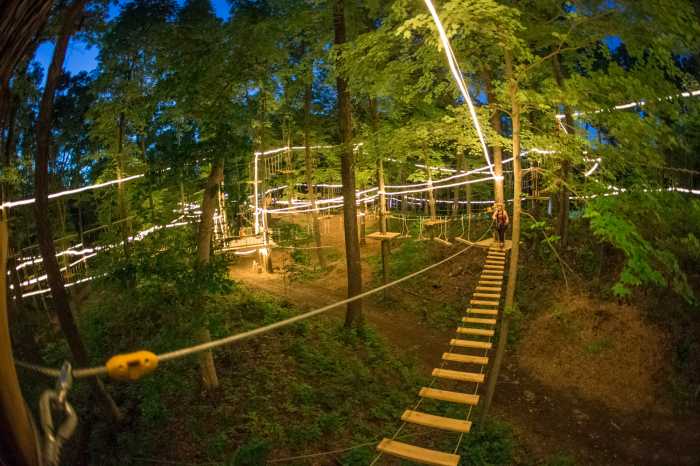Guests can head to TreEscape Aerial Adve