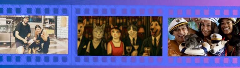 VIP Pooch and Pussy Cat Party