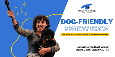 comedyshow