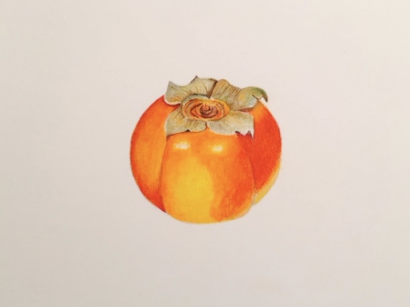 Discover the beauty and versatility of c