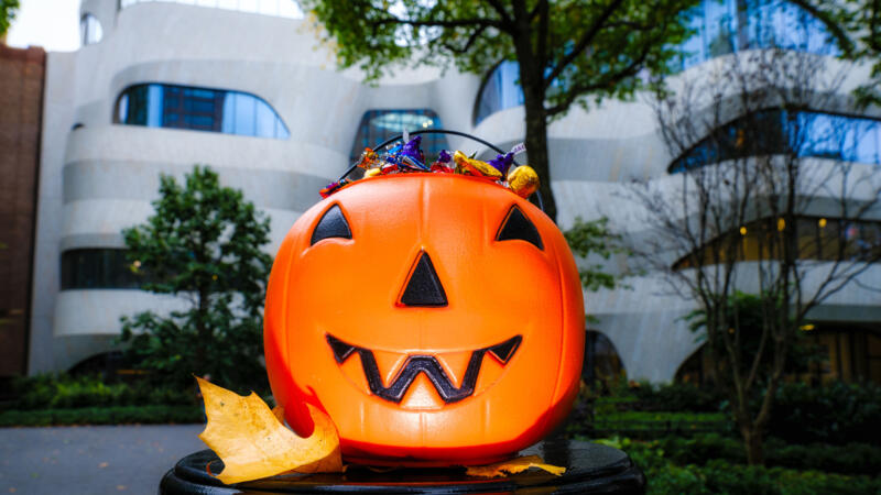halloween-celebration-2025-2460-1384_wideexact_800_745b69