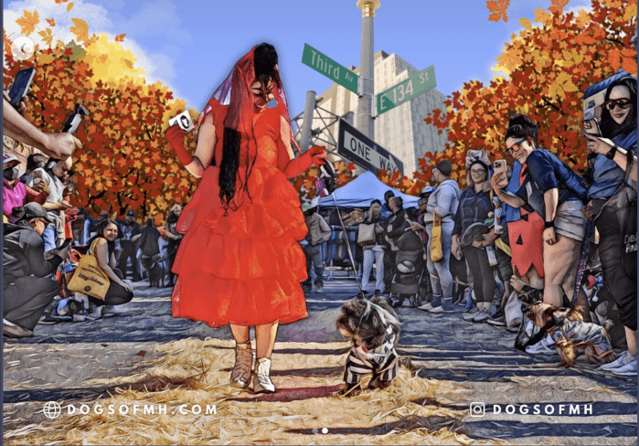Dogs of Mott Haven invites you to our 3r