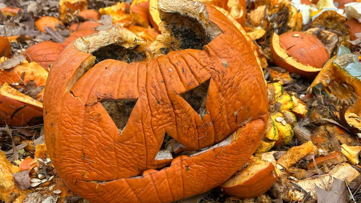 pumpkinsmash-2048×1152