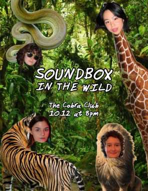 soundboxwild