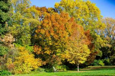 wave-hill_Fall-Foliage-Accessible-Views-from-the-Garden_credit-Wave-Hill