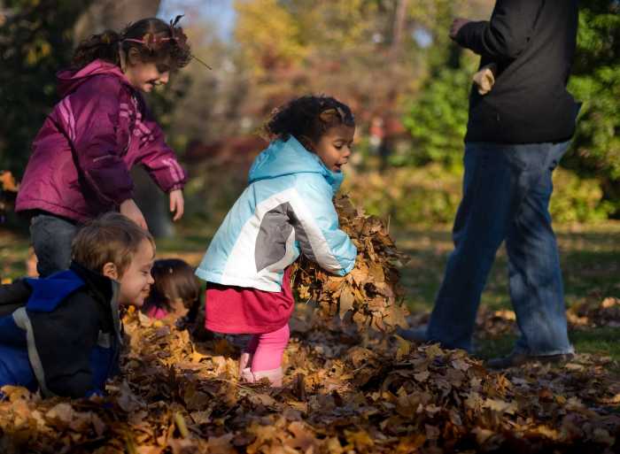 Don’t leaf yourself out of this am