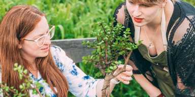 Bonsai Bar Workshop at Gun Hill Publick House