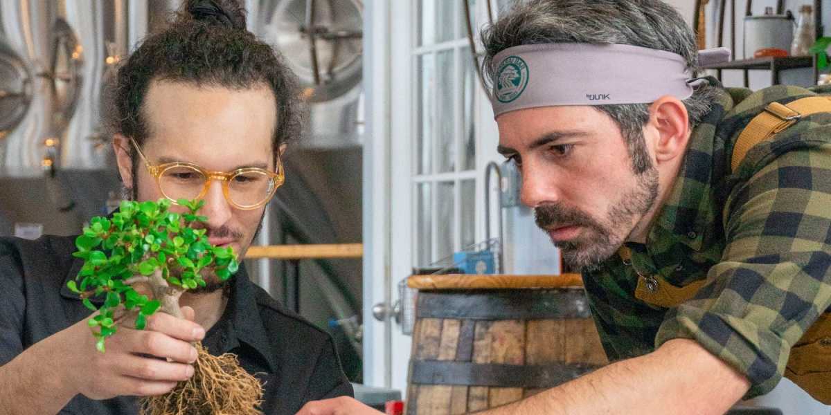 Bonsai Bar Workshop at Seven Tribesmen Brewery