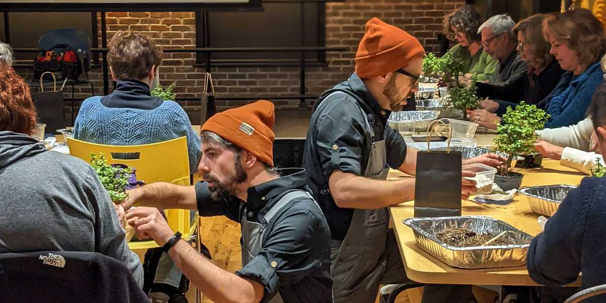 Bonsai Bar Workshop at The Greats of Craft – (LIC)