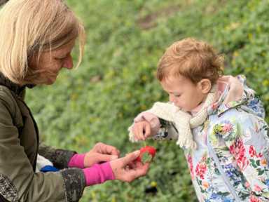 January Toddler Time
