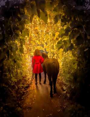 POM Winter Wonderland