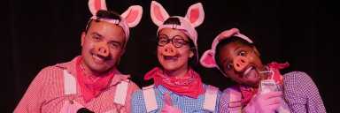 Pigs_3_1_website-1536×512