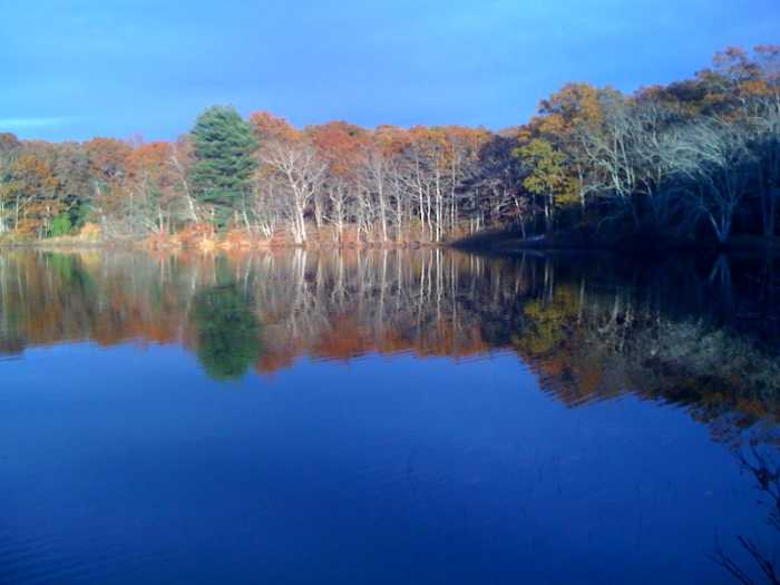 Meet at the end of Round Pond Lane in Sa