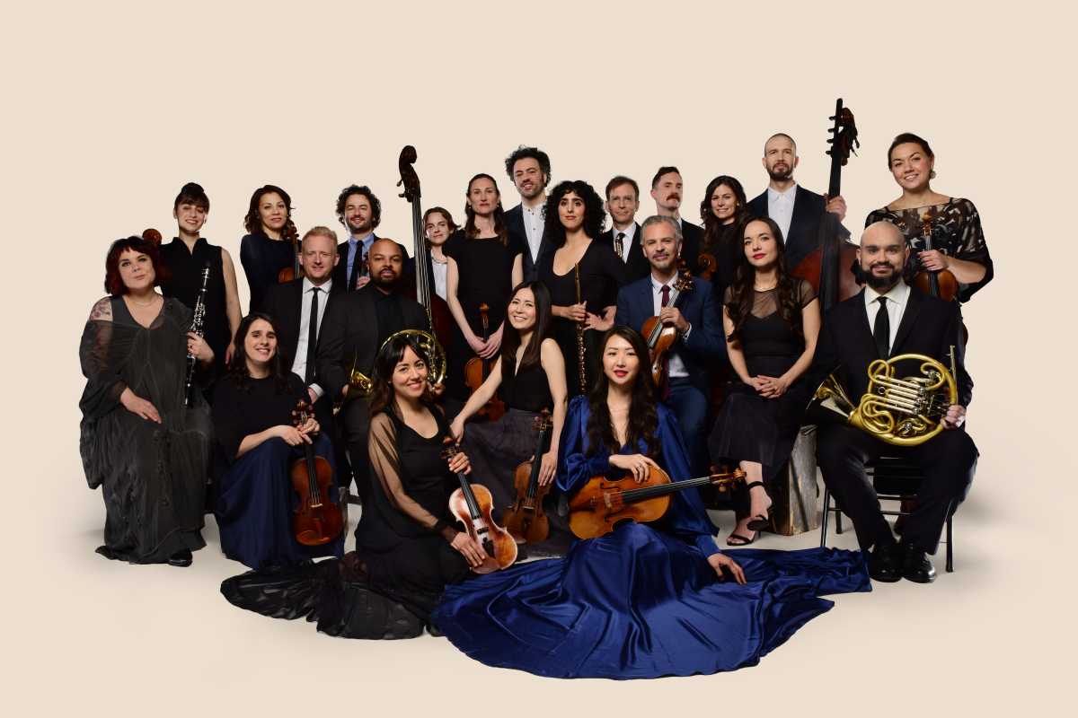 The Knights by Shervin Lainez