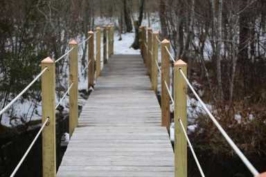 cranberry+bog+preserve+riverhead+news-review.jpeg copy